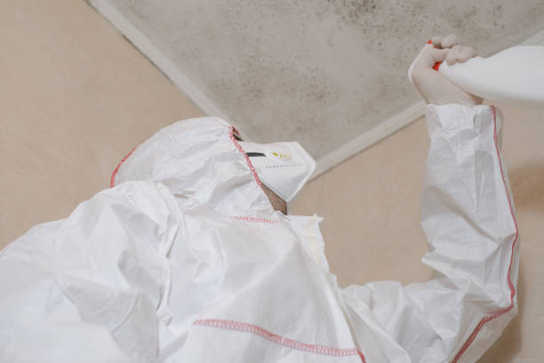 Best Mold Odor Removal Services  in Skokie, IL